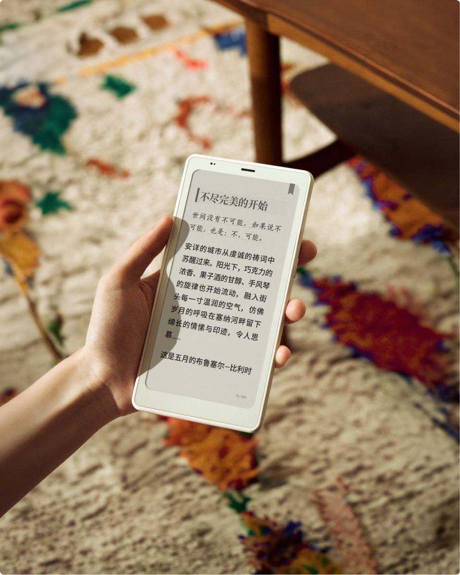 P6 Pro